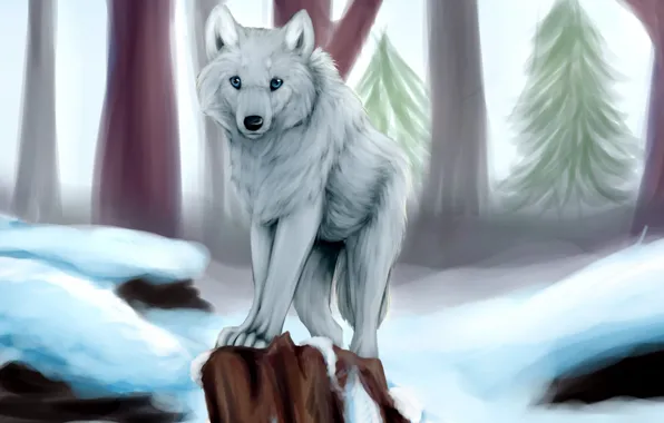 Picture winter, white, snow, trees, wolf, stump, tree