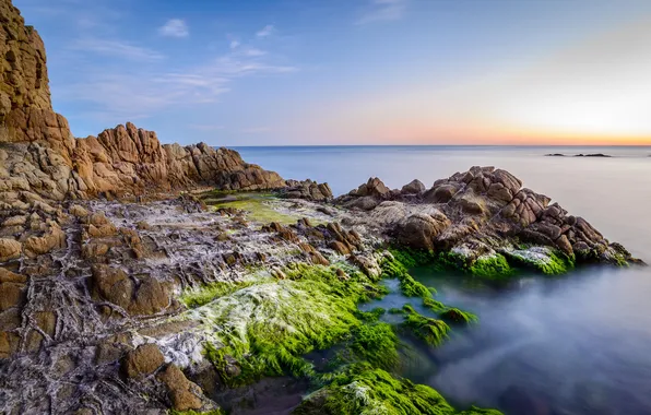 Sea, the sky, algae, rocks