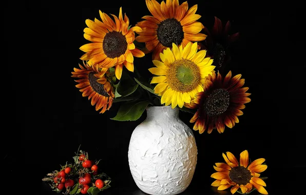 Picture leaves, flowers, sunflower, briar, vase