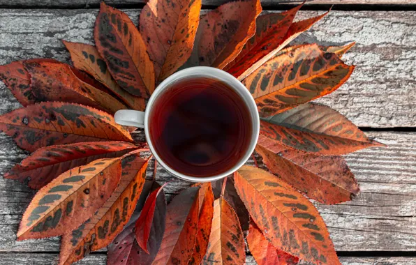 Photo, Autumn, Leaves, Board, Cup, Food, Tea