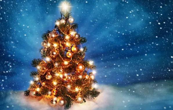 Ice, light, snow, decoration, lights, tree, New year, ice