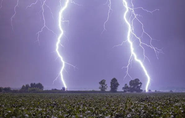The storm, field, trees, lightning