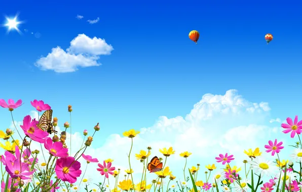 Summer, the sky, clouds, light, flowers, nature, balloons, heat