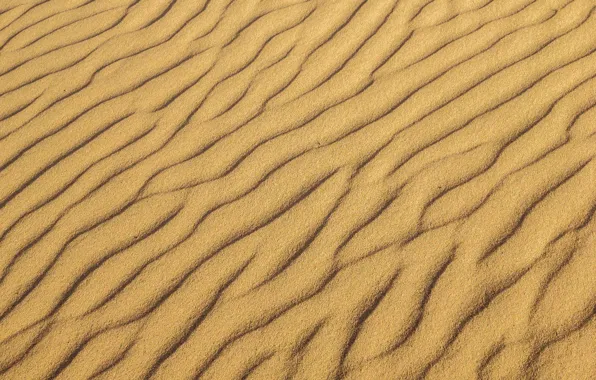 Picture sand, wave, desert