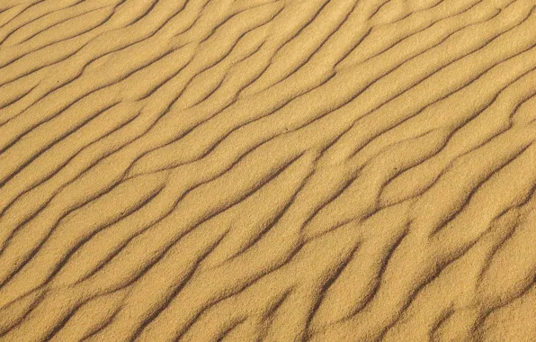 Sand, wave, desert