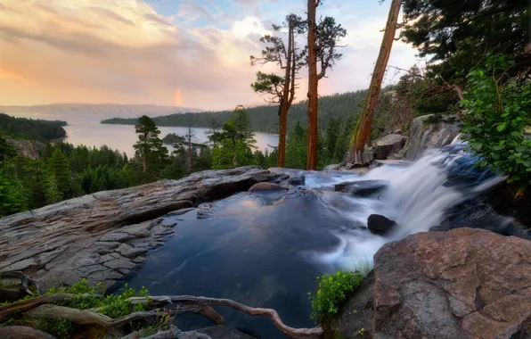Forest, view, height, waterfall, pine, driftwood