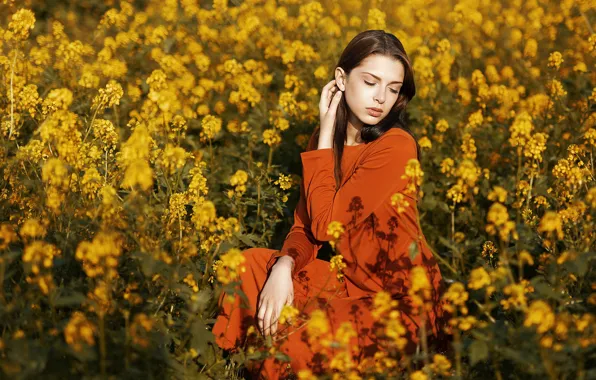 Picture field, summer, girl, flowers, nature, pose, brunette, beautiful