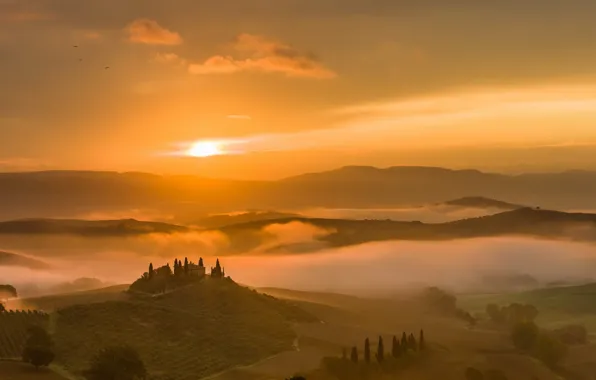 Picture morning, Belvedere, Tuscany