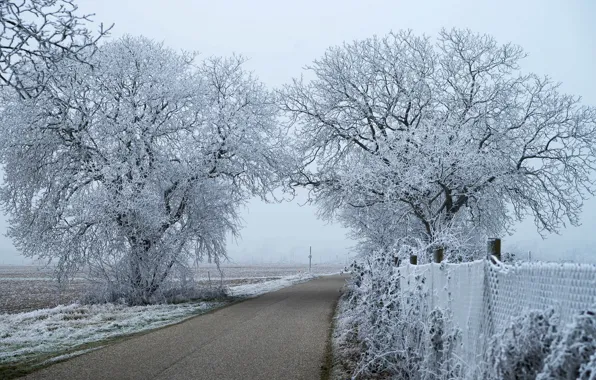 Winter, frost, road, field, the sky, snow, trees, branches