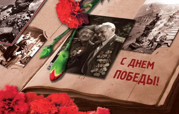 Flowers, photo, May 9, album, victory day
