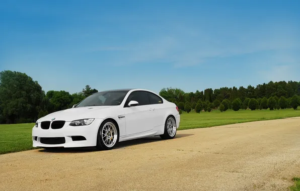 White, the sky, trees, bmw, BMW, coupe, white, primer