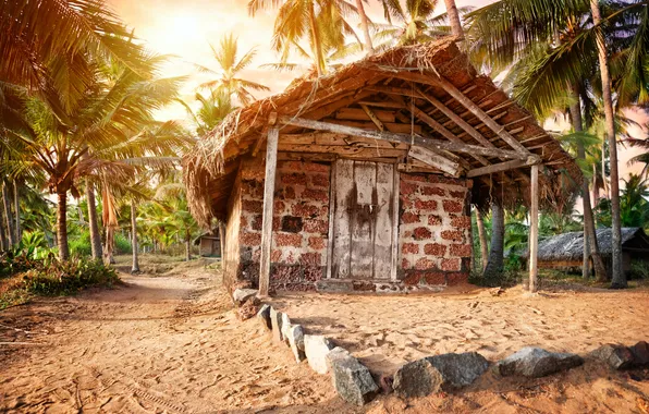 Sand, palm trees, home, hut
