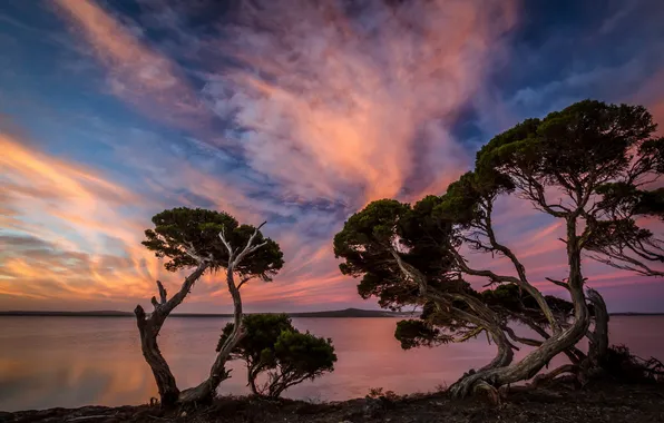Landscape, lake, morning