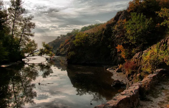 Leaves, trees, river, island, Dnepr, Zaporizhia, Khortytsya
