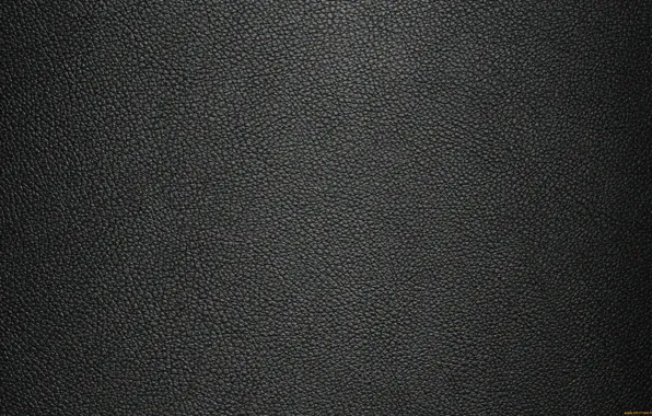 Picture background, texture, Leather