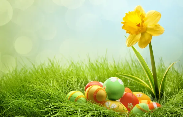 Grass, eggs, Easter, bokeh, Narcissus, easter
