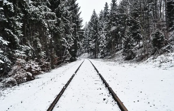Picture winter, forest, snow, railroad