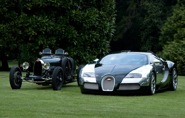 Nature, black, Bugatti Veyron, bugatti grand prix