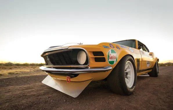 Mustang, Ford, Boss 302, Race, 1970, Legend, Muscle car, TransAm