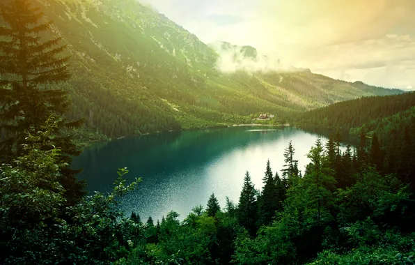 Forest, landscape, nature, mountains, lake