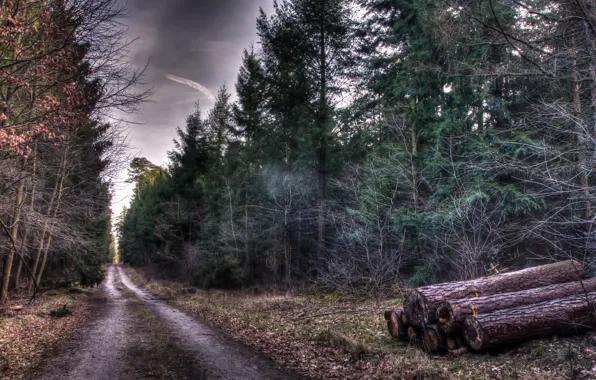 Road, autumn, trees, nature, HDR, Forest, logs, track