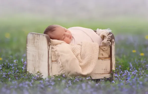 Picture flowers, sleep, baby, bokeh, cot, sleep