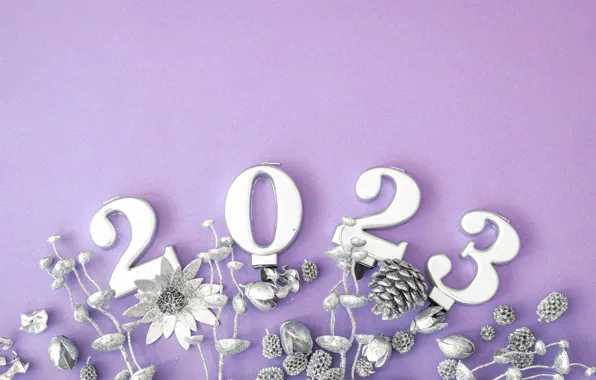 Stems, silver, plants, figures, New year, bumps, date, Christmas decorations