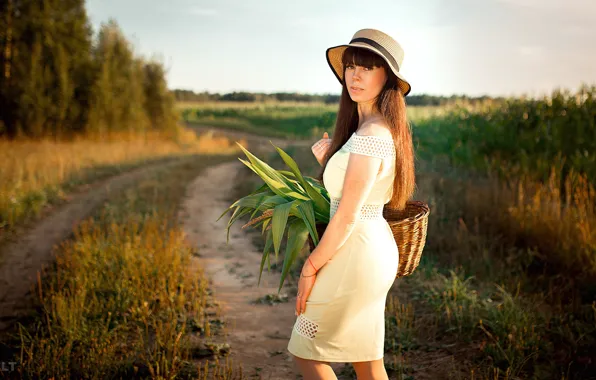 Picture field, grass, look, the sun, trees, pose, basket, model