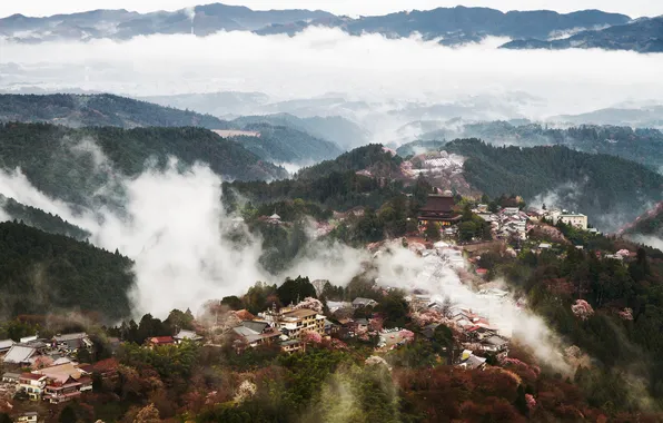 Picture mountains, fog, town, forest, the village