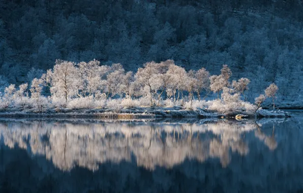 Picture frost, water, trees, reflection, Norway, Norway, Troms, Troms