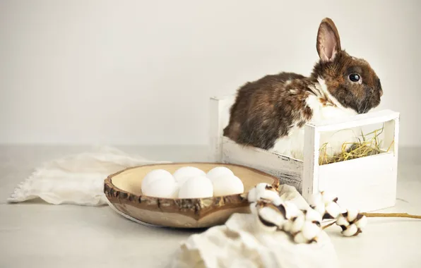 Table, holiday, eggs, spring, rabbit, Easter, straw, bowl