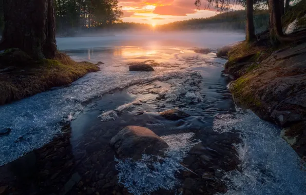 Picture winter, the sun, nature, lake, river, haze