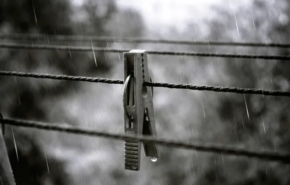 Picture autumn, squirt, rain, drop, Clothespin, rope