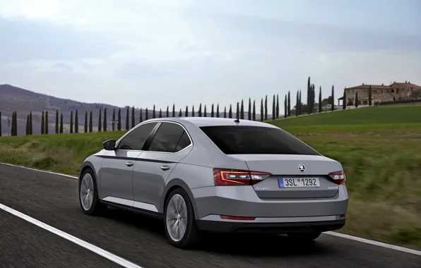 Road, grey, hill, sedan, Skoda, Skoda, 2015, Superb