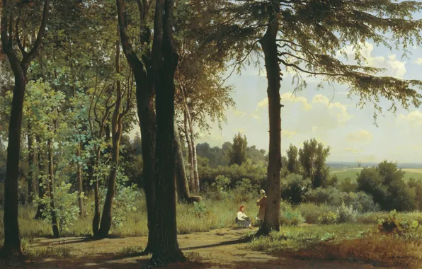 Landscape, picture, Mr Ammon, In The Woods