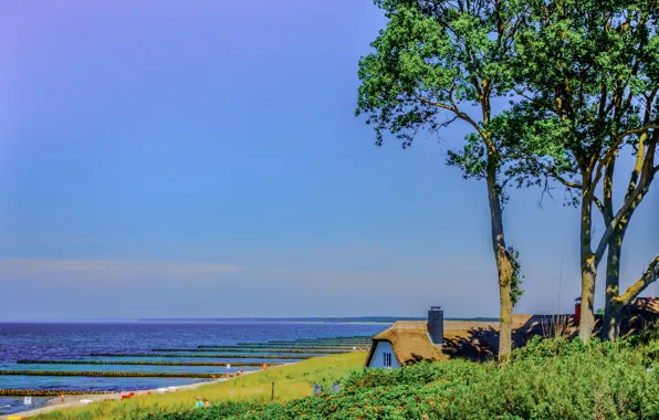 Picture roof, sea, trees, home, Germany, Mecklenburg-Vorpommern, Ahrenshoop