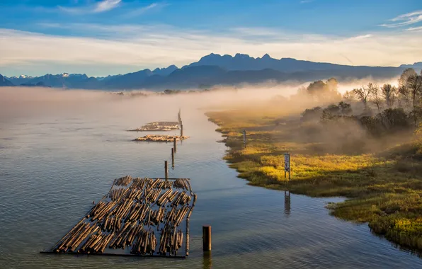 Picture forest, the sky, clouds, trees, mountains, fog, river, logs