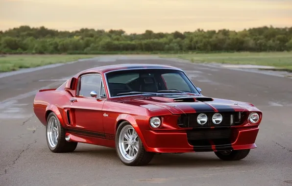 Picture shelby, gt500, front, view