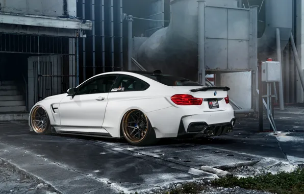 Picture car, bmw, white, tuning, hq Wallpapers, William Stern, f82