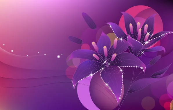 Circles, flowers, lights, Lily, vector