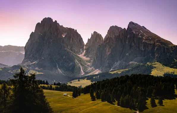 Forest, mountains, hills