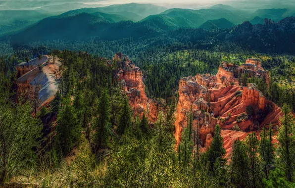 Picture relief, rocks, mountains, forest