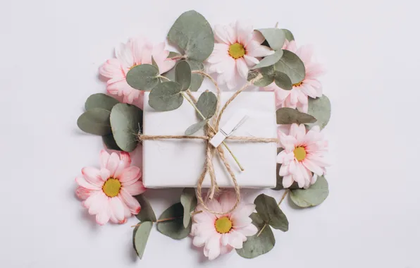 Leaves, flowers, background, Holiday, Gift, Chrysanthemum