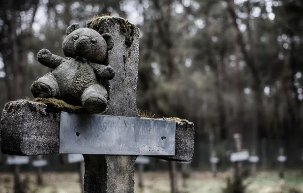 Cross, bear, cemetery