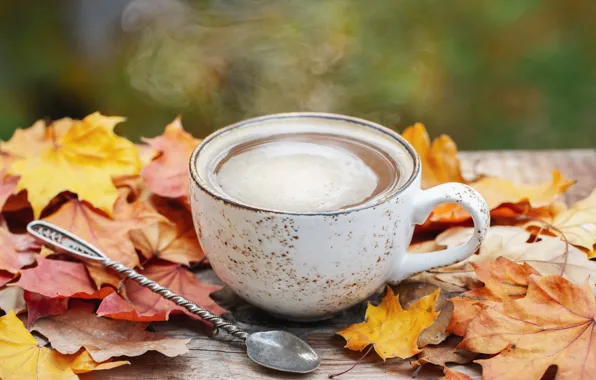 Picture autumn, leaves, wood, autumn, leaves, coffee cup, a Cup of coffee