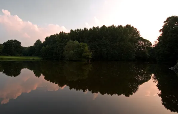 Picture trees, nature, lake, surface, reflection, the evening, nature