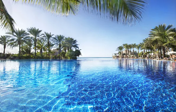 Picture palm trees, pool, resort