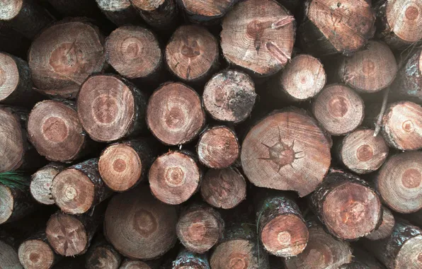 Picture background, wood, logs