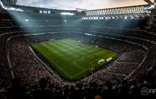 Picture sport, grass, stadium, crowd, soccer, Fifa, fans, arena