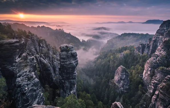 Picture forest, mountains, fog, sunrise, rocks, morning